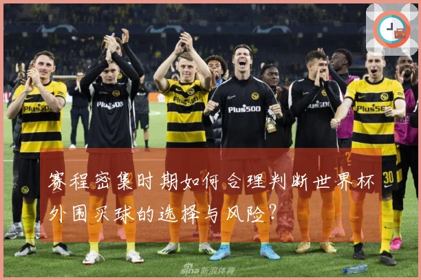 赛程密集时期如何合理判断世界杯外围买球的选择与风险？
