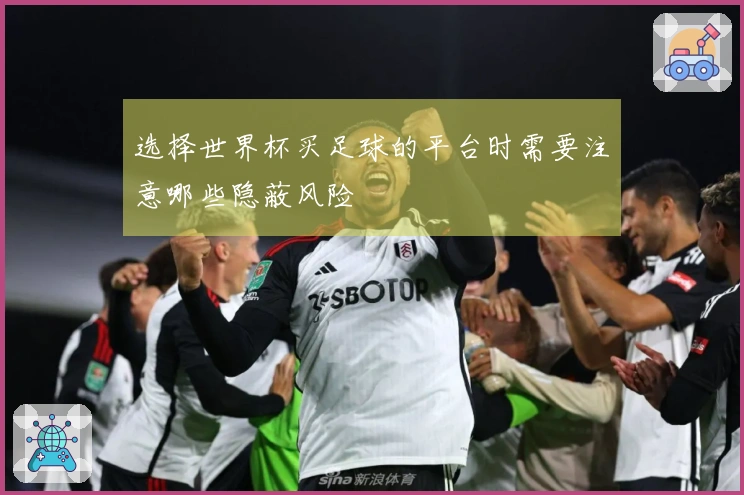 选择世界杯买足球的平台时需要注意哪些隐蔽风险