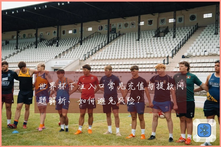 世界杯下注入口常见充值与提款问题解析，如何避免风险？