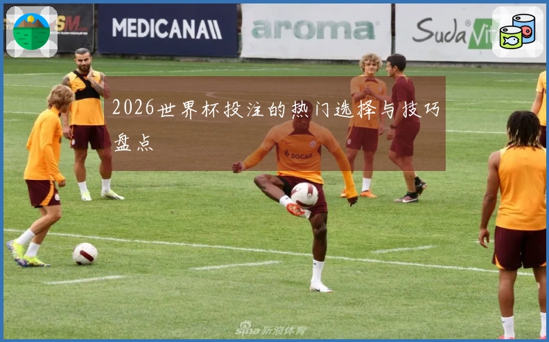 2026世界杯投注的热门选择与技巧盘点