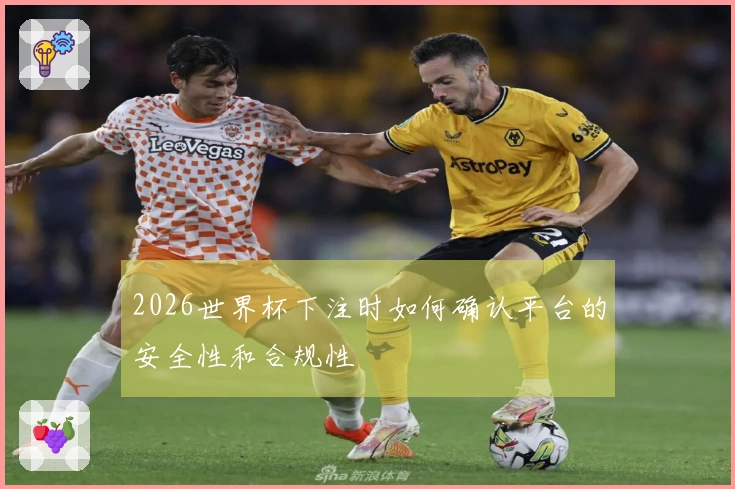 2026世界杯下注时如何确认平台的安全性和合规性