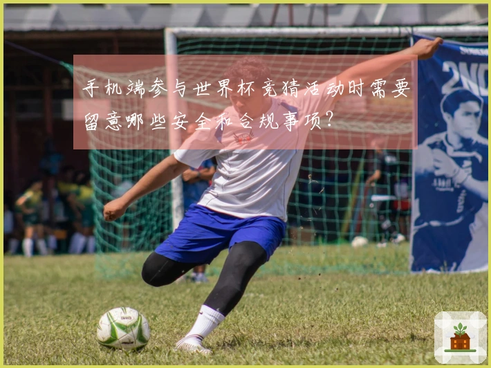 手机端参与世界杯竞猜活动时需要留意哪些安全和合规事项？
