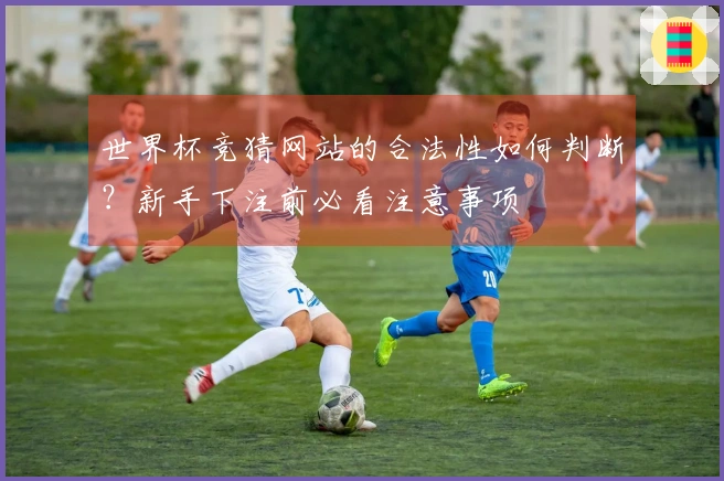 世界杯竞猜网站的合法性如何判断？新手下注前必看注意事项