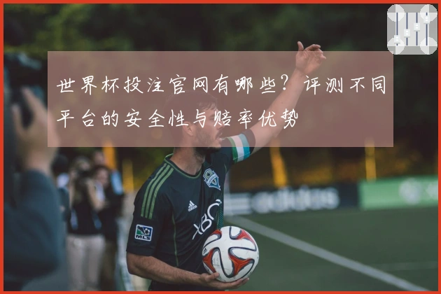 世界杯投注官网有哪些？评测不同平台的安全性与赔率优势
