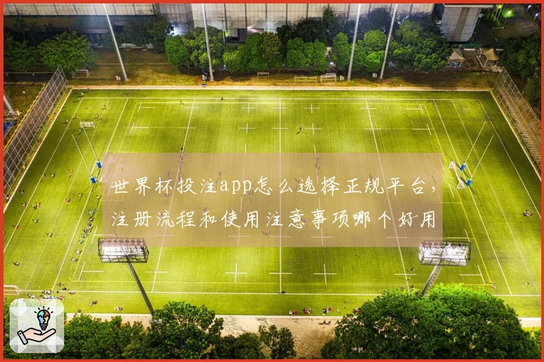世界杯投注app怎么选择正规平台，注册流程和使用注意事项哪个好用
