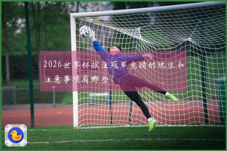 2026世界杯投注冠军竞猜的玩法和注意事项有哪些？