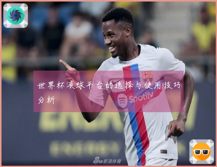 世界杯滚球平台的选择与使用技巧分析