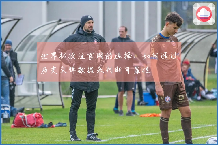 世界杯投注官网的选择，如何通过历史交锋数据来判断可靠性