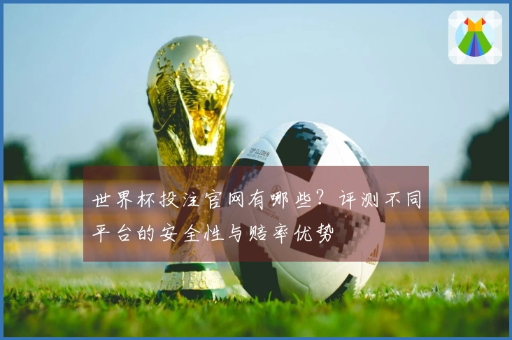 世界杯投注官网有哪些？评测不同平台的安全性与赔率优势