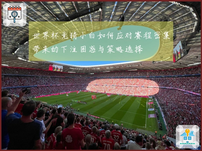 世界杯竞猜小白如何应对赛程密集带来的下注困惑与策略选择