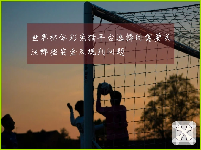 世界杯体彩竞猜平台选择时需要关注哪些安全及规则问题
