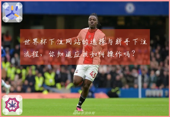 世界杯下注网站的选择与新手下注流程，你知道应该如何操作吗？