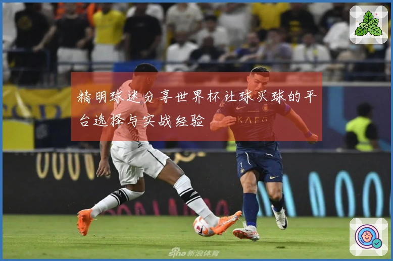 精明球迷分享世界杯让球买球的平台选择与实战经验