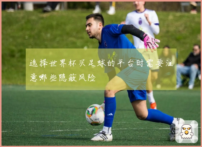 选择世界杯买足球的平台时需要注意哪些隐蔽风险