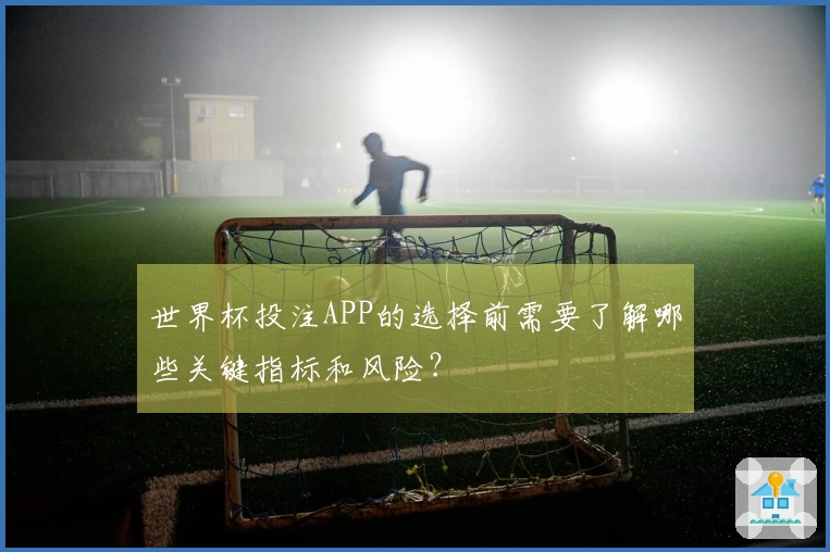 世界杯投注APP的选择前需要了解哪些关键指标和风险？
