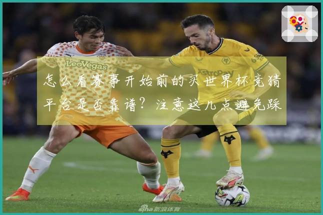 怎么看赛事开始前的买世界杯竞猜平台是否靠谱？注意这几点避免踩雷