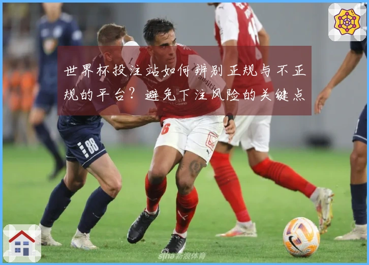 世界杯投注站如何辨别正规与不正规的平台？避免下注风险的关键点解析