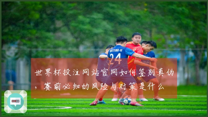 世界杯投注网站官网如何鉴别真伪，赛前必知的风险与对策是什么