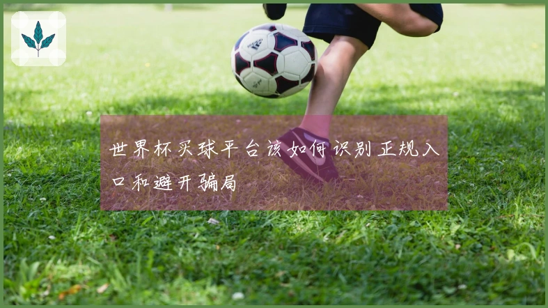 世界杯买球平台该如何识别正规入口和避开骗局